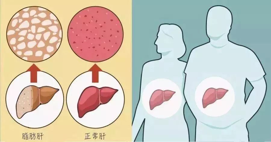 èèªèæä¸ºæå½ 第ä¸èç