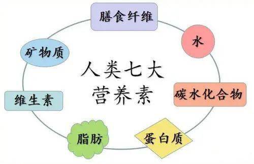 特殊医学用途配方食品,助力健康绽放活力,您选对了吗